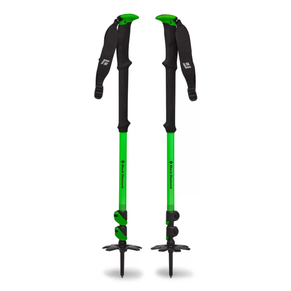 Expedition Whippet Ready 3 Ski Poles<Black Diamond Best Sale