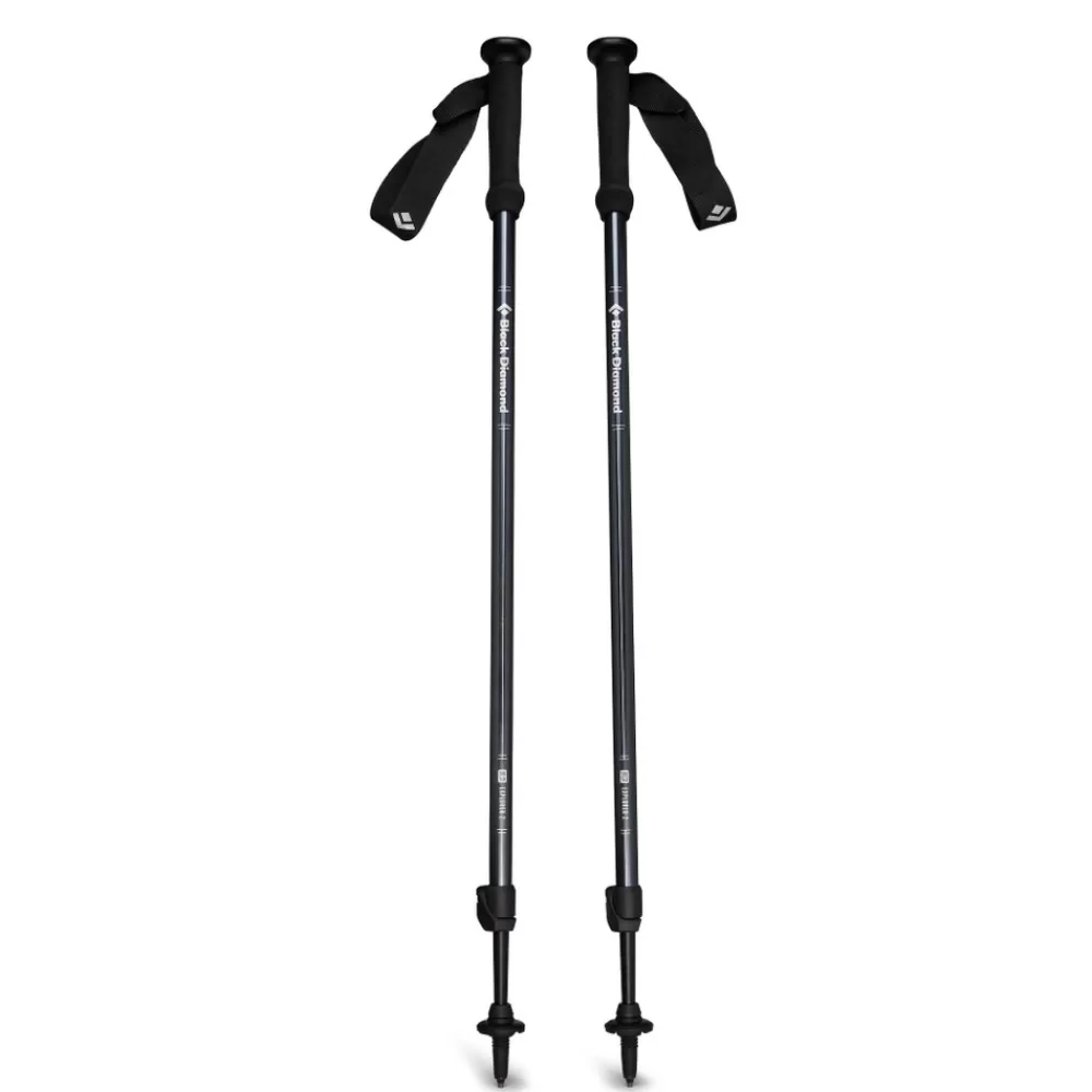 Explorer 2 Trekking Poles<Black Diamond Flash Sale