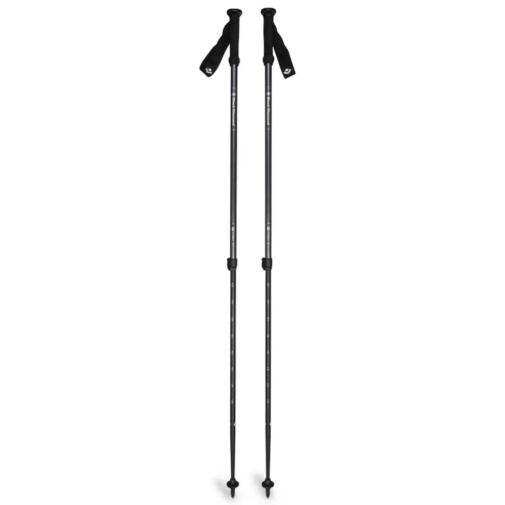 Explorer 2 Trekking Poles<Black Diamond Flash Sale