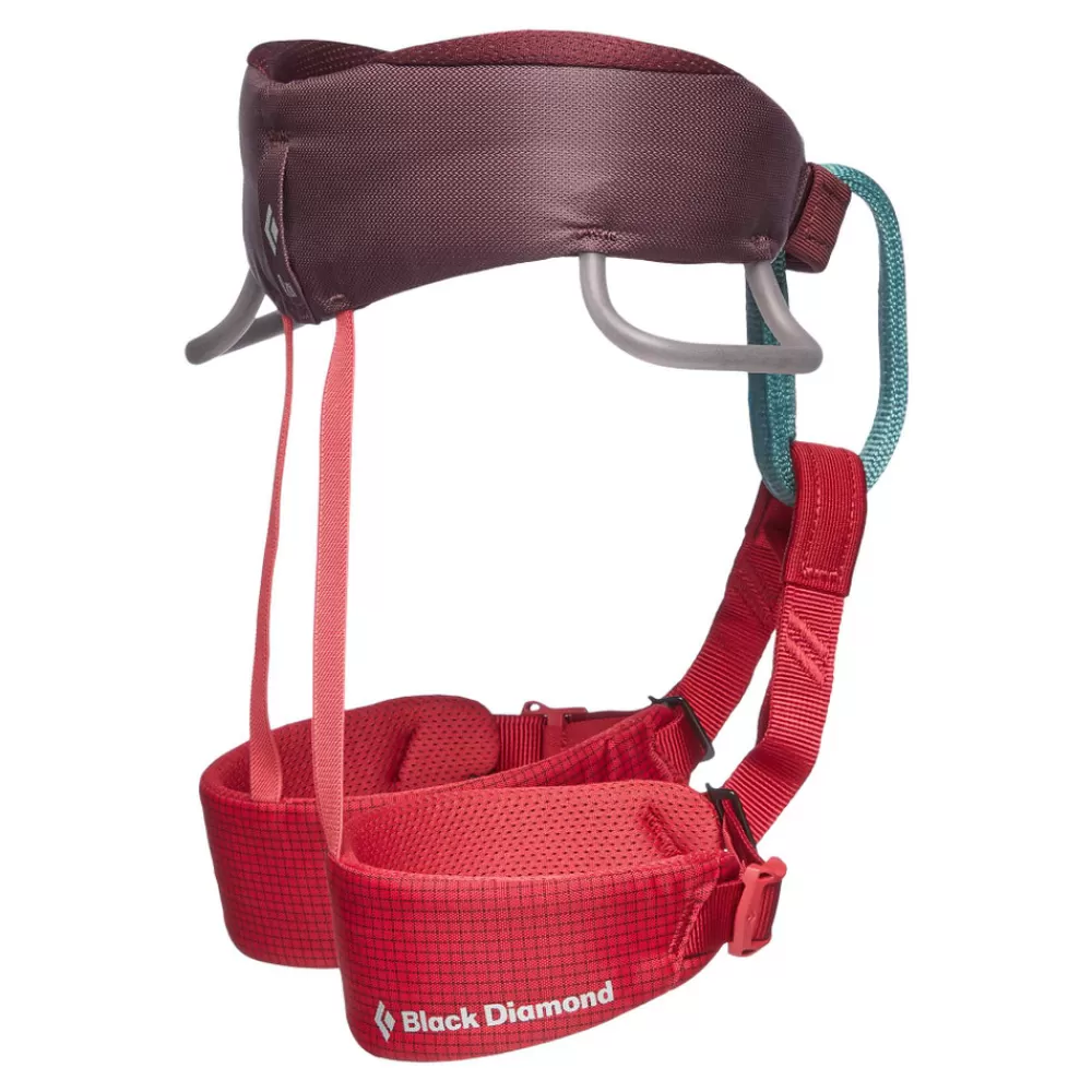 Kid's Momentum Harness<Black Diamond Best