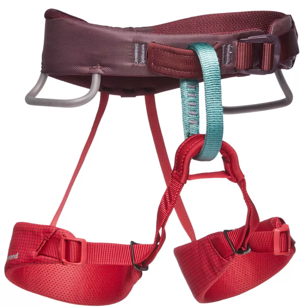 Kid's Momentum Harness<Black Diamond Best