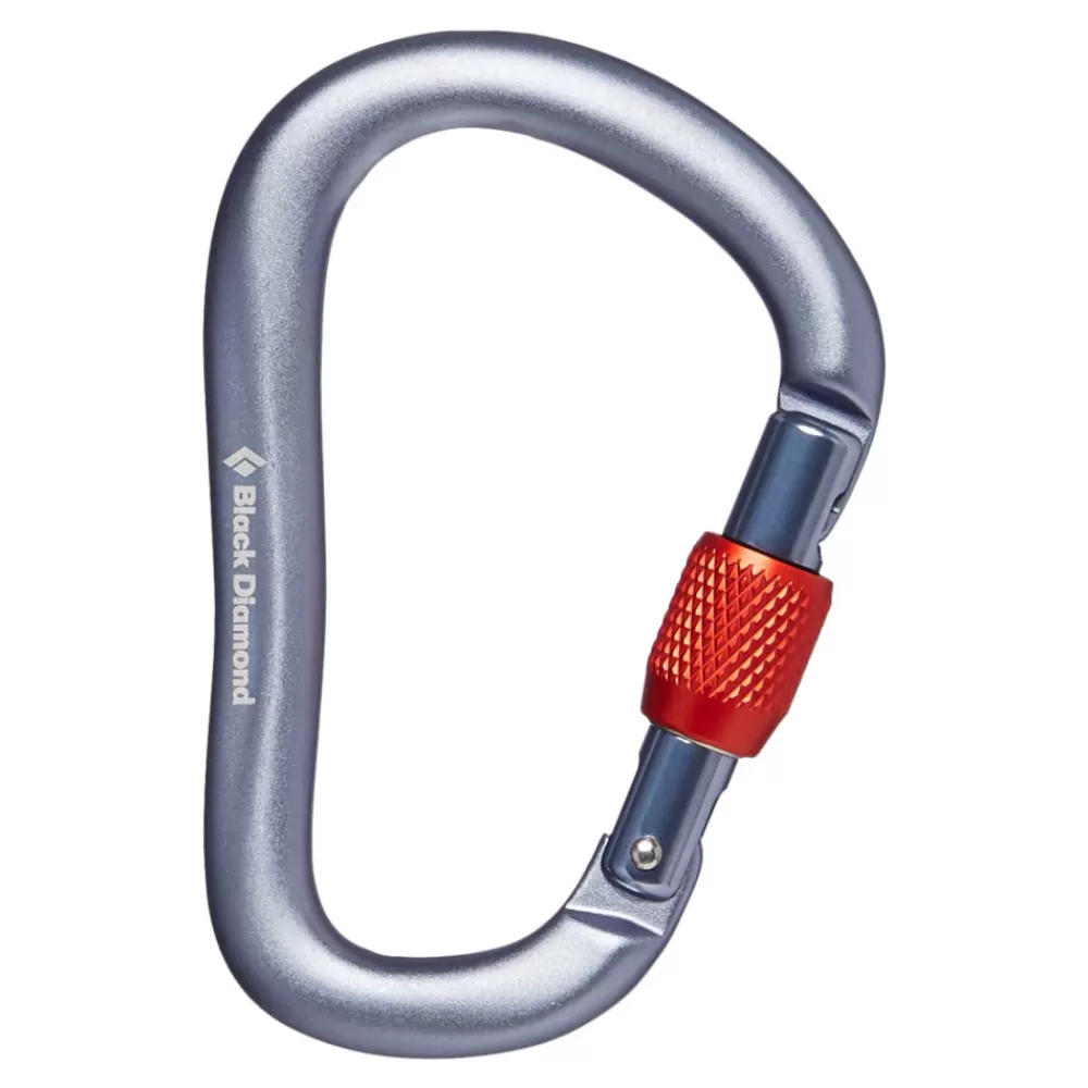 RockLock Screwgate Carabiner<Black Diamond Sale